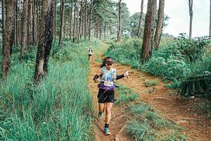 BIB: 
                            <button type="button" onclick="openModal(25657703)" class="btn btn-primary btn-sm float-right btn-popup" data-toggle="modal" data-target=".modal-high-quality">
                        <i class="fas fa-shopping-cart"></i> Add to Cart
                    </button>
                                            <button type="button" onclick="isThisMe(25657703, true)" class="btn btn-success btn-sm float-right btn-popup btn-isme hidden" data-toggle="tooltip" data-placement="bottom" title="นี่คือรูปของคุณใช่ไหม คลิกที่นี่เพื่อเอาเข้าอัลบั้ม">
                        <i class="fas fa-plus"></i> Add to album
                    </button>
                    <button type="button" onclick="isThisMe(25657703, false)" class="btn btn-warning btn-sm float-right btn-popup btn-isnotme hidden">
                        <i class="fas fa-ban"></i> Remove from album
                    </button>